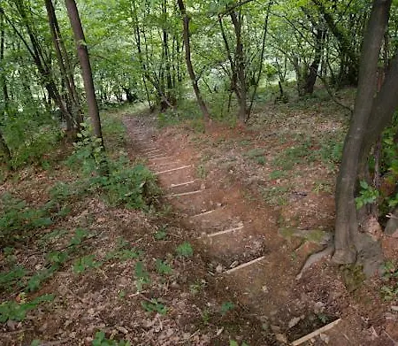 Of Peace At The Of The Pyramid Sun And *