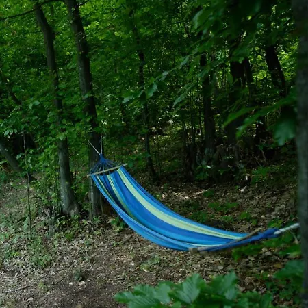 Of Peace At The Of The Pyramid Sun And * 비소코